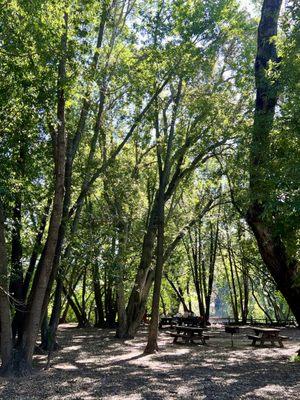 picnic tables