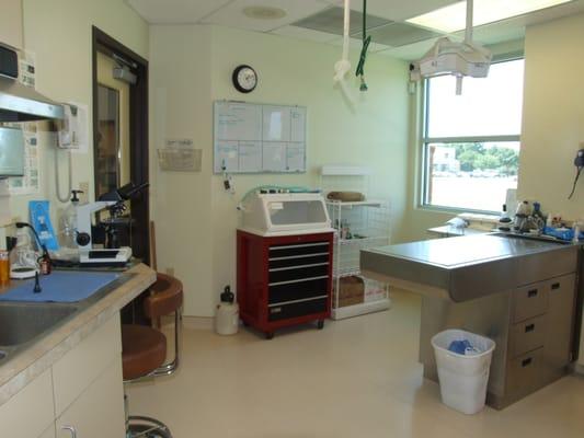 Dental Procedure Area