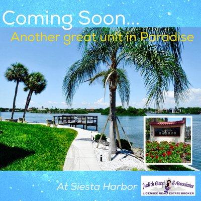 Sneak peek of upcoming listings for those on the lookout for upcoming listings in Siesta Key