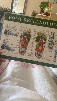 Foot Reflexology chart