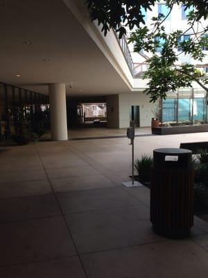 Entrance walkway from Rand gate at 1776 Main St.