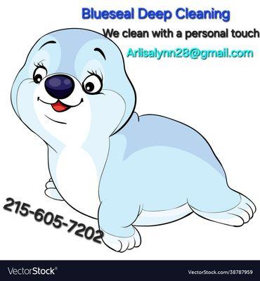 Blueseal Deep Cleaning