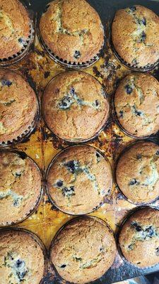 Home Made Blueberry Muffins