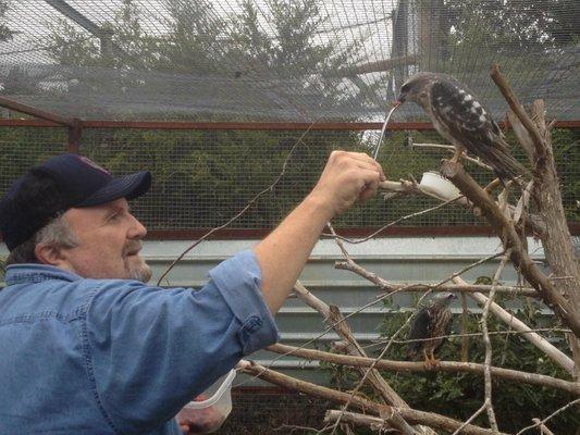 An amazingly dedicated group of people. Oklahoma's injured, orphaned & displaced wildlife could not be in better hand