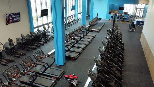 Endless rows of cardio