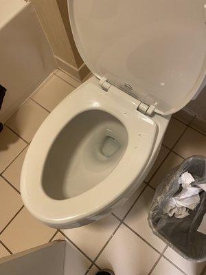 Cigarette burns on toilet