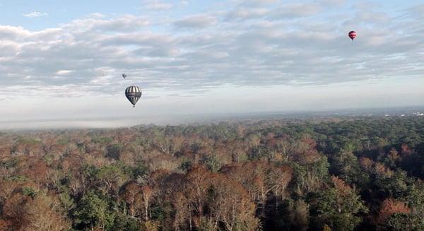 Early morning Hot Air Balloon Ride anyone? Experience a once in a lifetime hot air balloon experience filled with breathtaking v