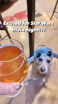 This week's trivia night was Star Wars! This was our team mascot.