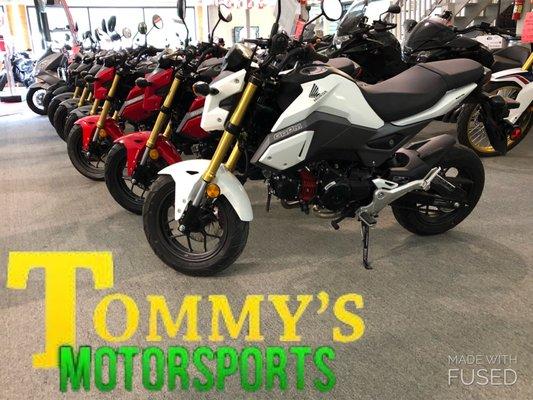 2018 Honda Grom's & Grominator