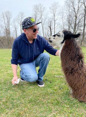 Cushing with the llama