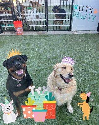 Lucy & Stella give Playtime Pet Resort 10 Paws!