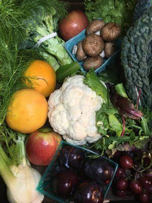 Local Box for a family who love to try new things!, lots of fruit, anything for salads, leafy greens & fennel."www.guerrillaorganics.com