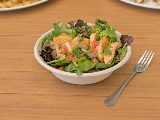 Fish Dish Salmon Salad