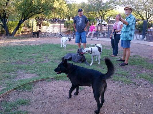 Dog park in full swing :)