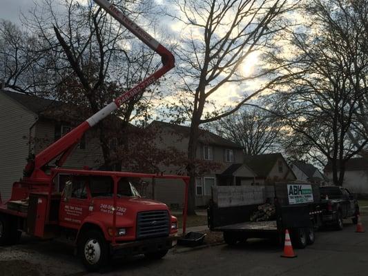 ABK Tree Service