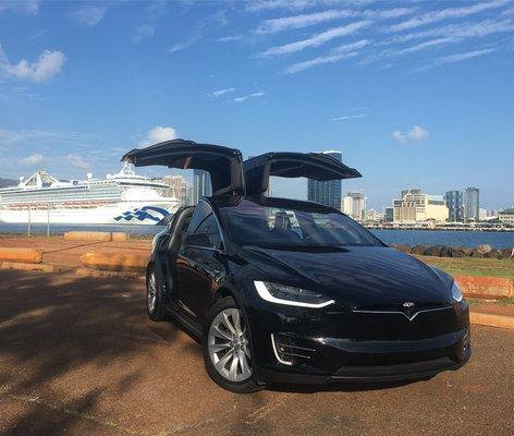 Tesla Model X cruise terminal service.