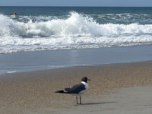 Beautiful beach view