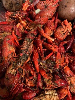 Old Crawfish