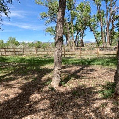 A beautiful dog park