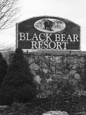 Stevens Realty is proud to announce the appointment of our broker as the broker at Black Bear Resort in Canaan Valley.  Www.blackbearwv.com