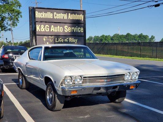 Pearl White Chevelle