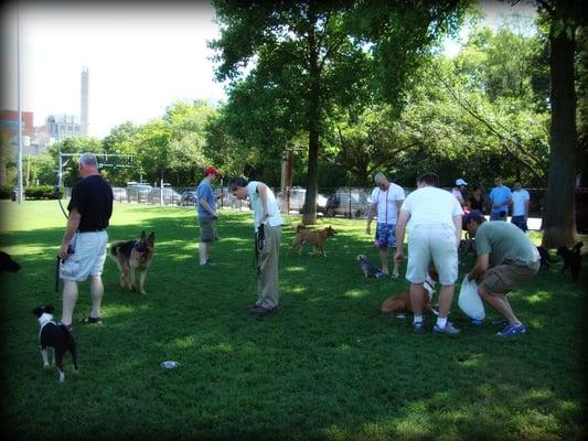 Saturday morning at the dog park.