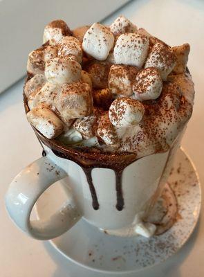 Fancy Hot Chocolate