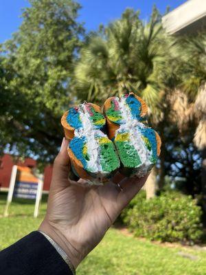 Rainbow Bagel from DeLand Bagels.