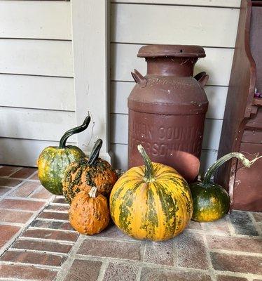 West Portal Pumpkin Patch