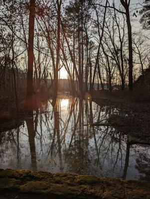 Daingerfield State Park