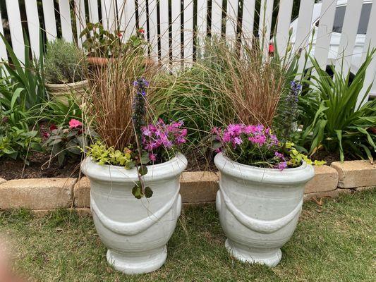 Simple Elegant white pots with fabulous Red rooster, creeping phlox, ajuga and you can never go wrong with creeping Jenny in Georgia!