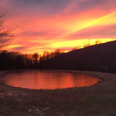 Our 1 acre pond at sunset