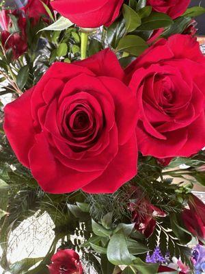 Beautiful red roses