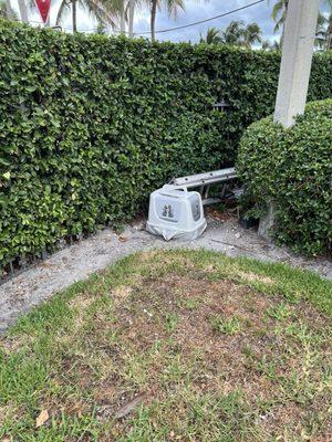 Litter box left in the parking lot became house for rats and reptiles!!