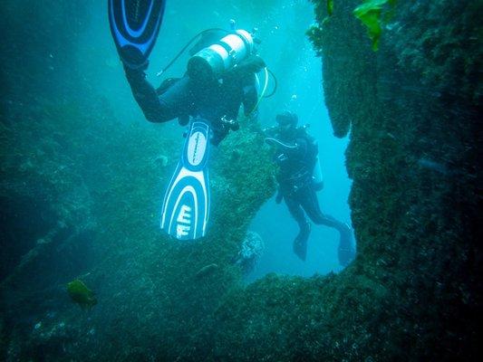 Diving with the SCUBA Magician in Catalina!