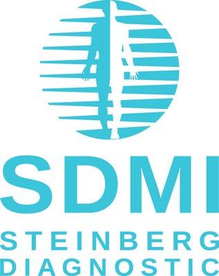 SDMI Logo