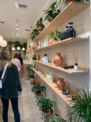 Plants and handcrafted items