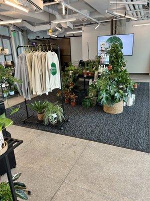 Inside- Plants, Cute Pots and Shirts