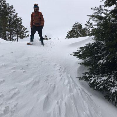 Snowshoeing the ridge.