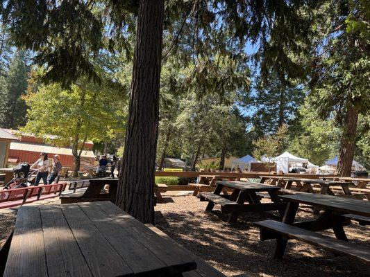 Eat under the canopy of the trees. Lots of space for kids to roam too.