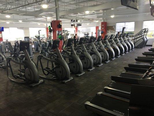 Cardio Equipment