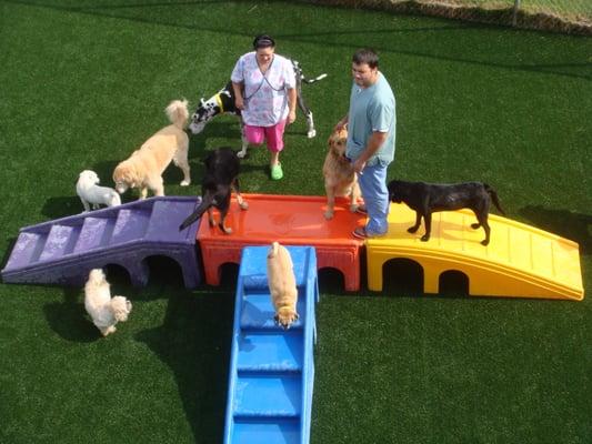 Dog day care at The Barkley Pet Hotel & Day Spa® in Cleveland, Ohio.