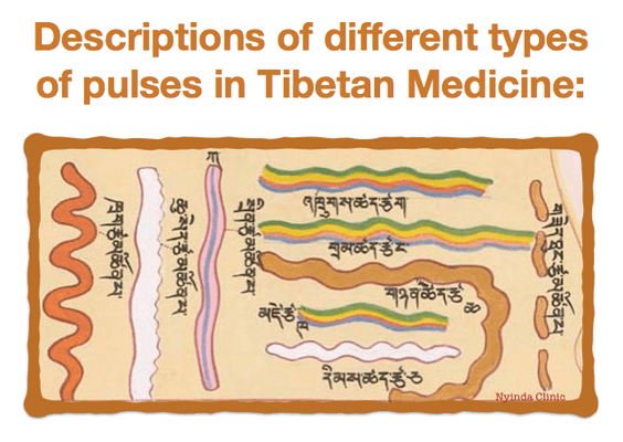 Pulse examples in Tibetan Medicine