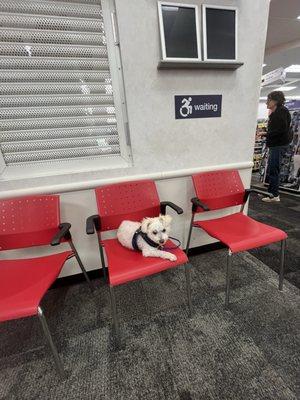 Waiting area for vaccination appointment