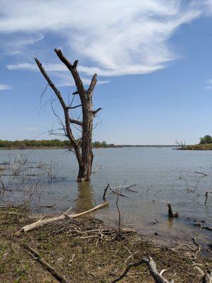 Bob Jones Nature Center And Preserve