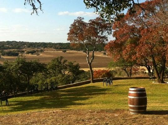 Wine country near Austin, TX