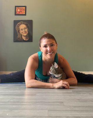 Stretch classes and personal stretch sessions available - cat not included!