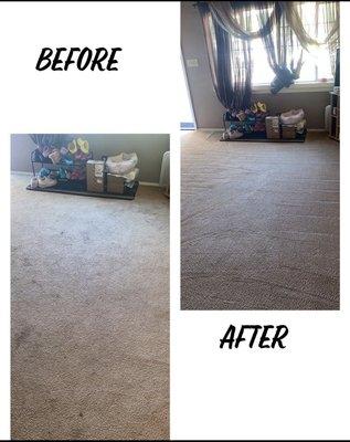 Carpet Cleaning