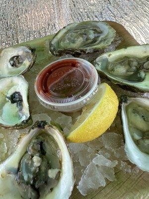 Local oysters