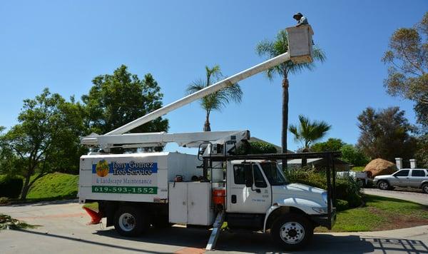 Trusted Tree Service for over 25 years!